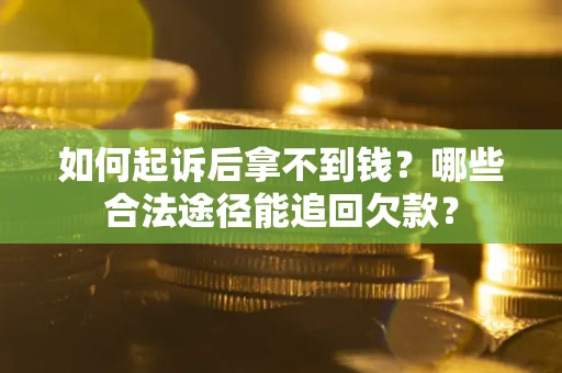 武汉如何起诉后拿不到钱？哪些合法途径能追回欠款？
