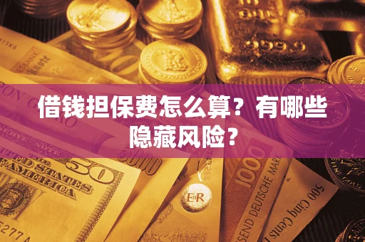 武汉借钱担保费怎么算？有哪些隐藏风险？