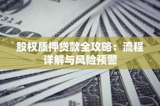 武汉股权质押贷款全攻略：流程详解与风险预警