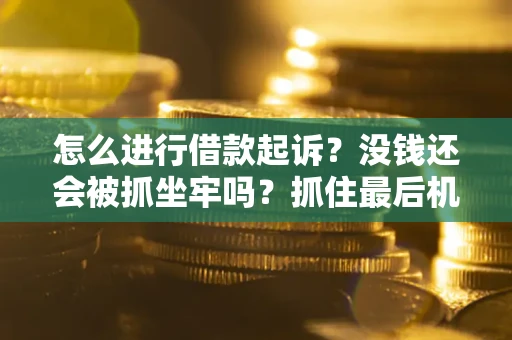 武汉怎么进行借款起诉？没钱还会被抓坐牢吗？抓住最后机会！