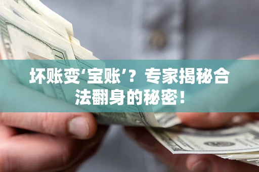 武汉坏账变‘宝账’？专家揭秘合法翻身的秘密！
