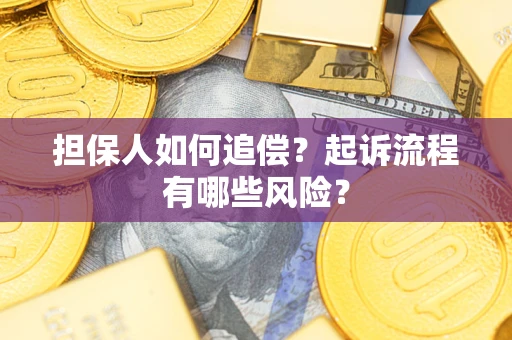 武汉担保人如何追偿？起诉流程有哪些风险？