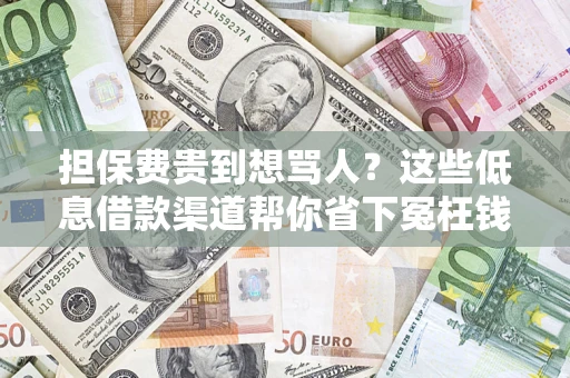 武汉担保费贵到想骂人？这些低息借款渠道帮你省下冤枉钱