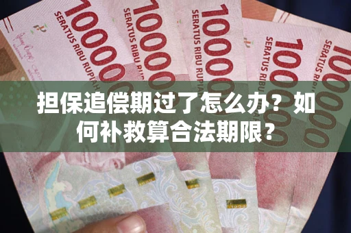 武汉担保追偿期过了怎么办？如何补救算合法期限？