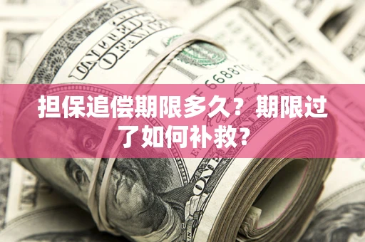 武汉担保追偿期限多久？期限过了如何补救？