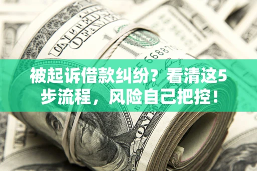 武汉被起诉借款纠纷？看清这5步流程，风险自己把控！