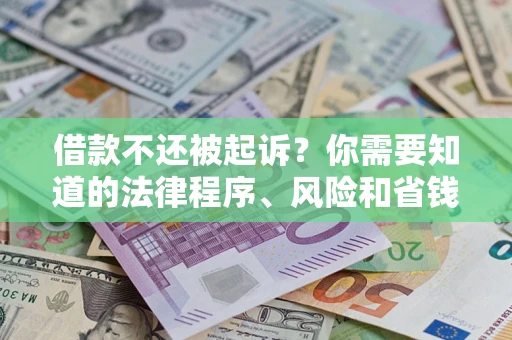 武汉借款不还被起诉？你需要知道的法律程序、风险和省钱技巧