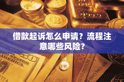 武汉借款起诉怎么申请？流程注意哪些风险？