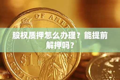 武汉股权质押怎么办理？能提前解押吗？