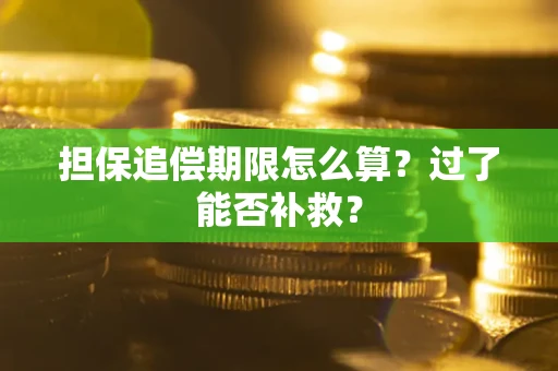 武汉担保追偿期限怎么算？过了能否补救？